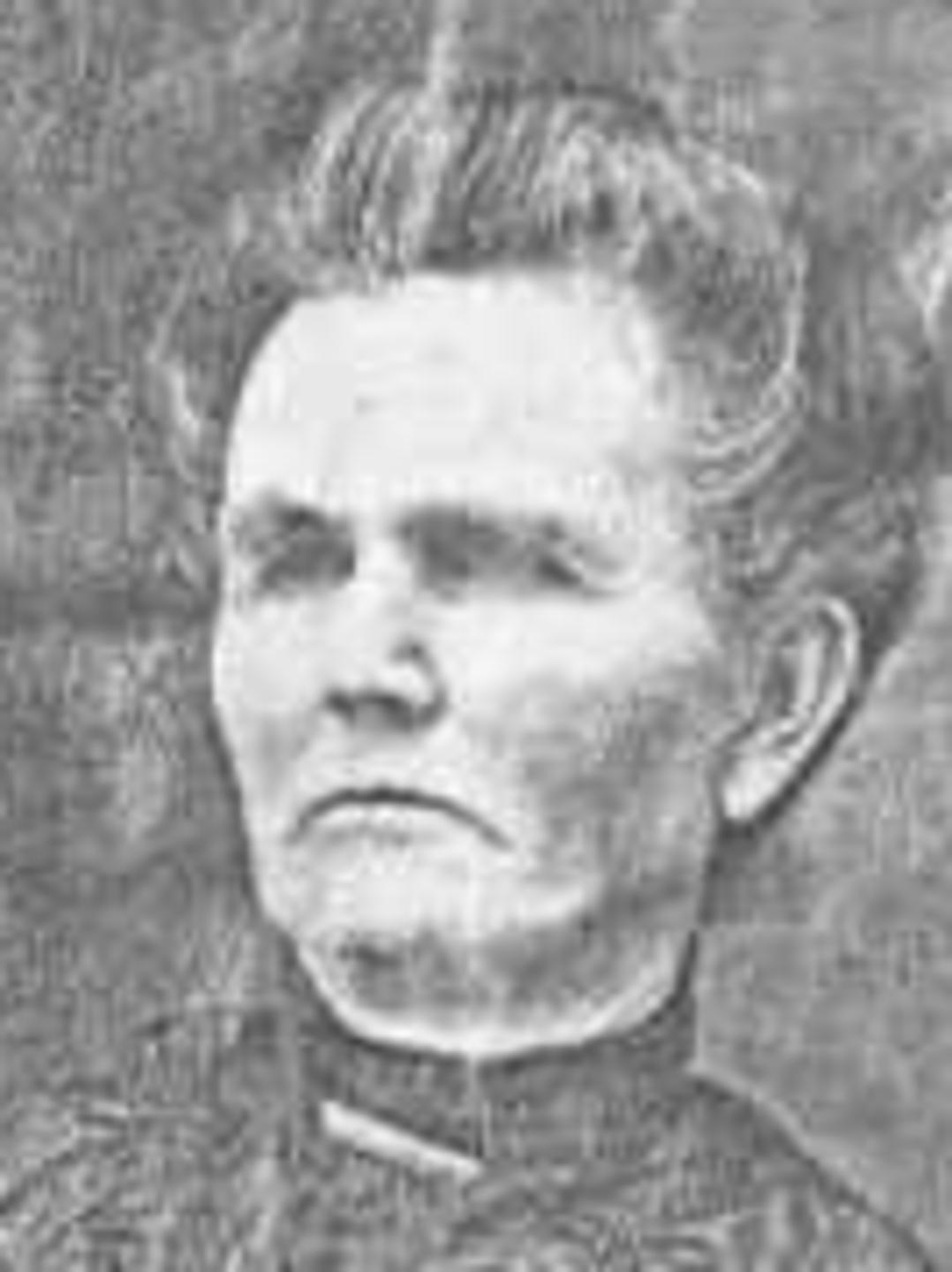 Frances Louisa Cooper (1850 - 1930) Profile